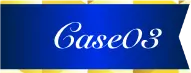 Case03